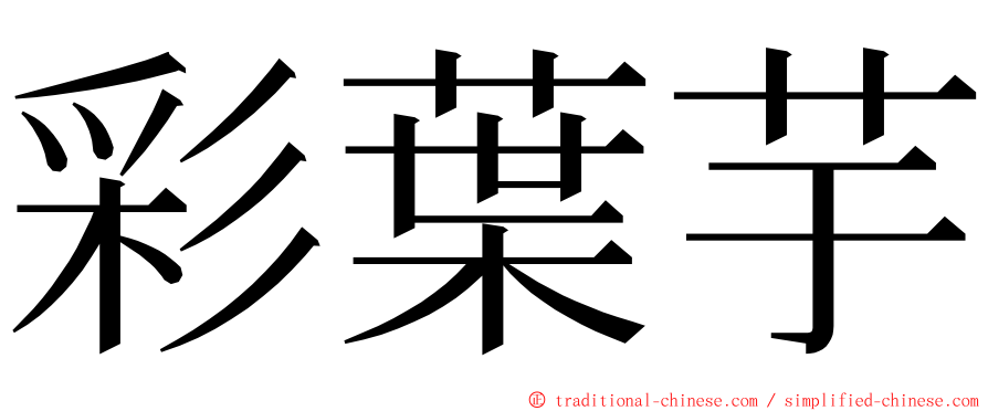 彩葉芋 ming font