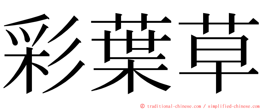 彩葉草 ming font