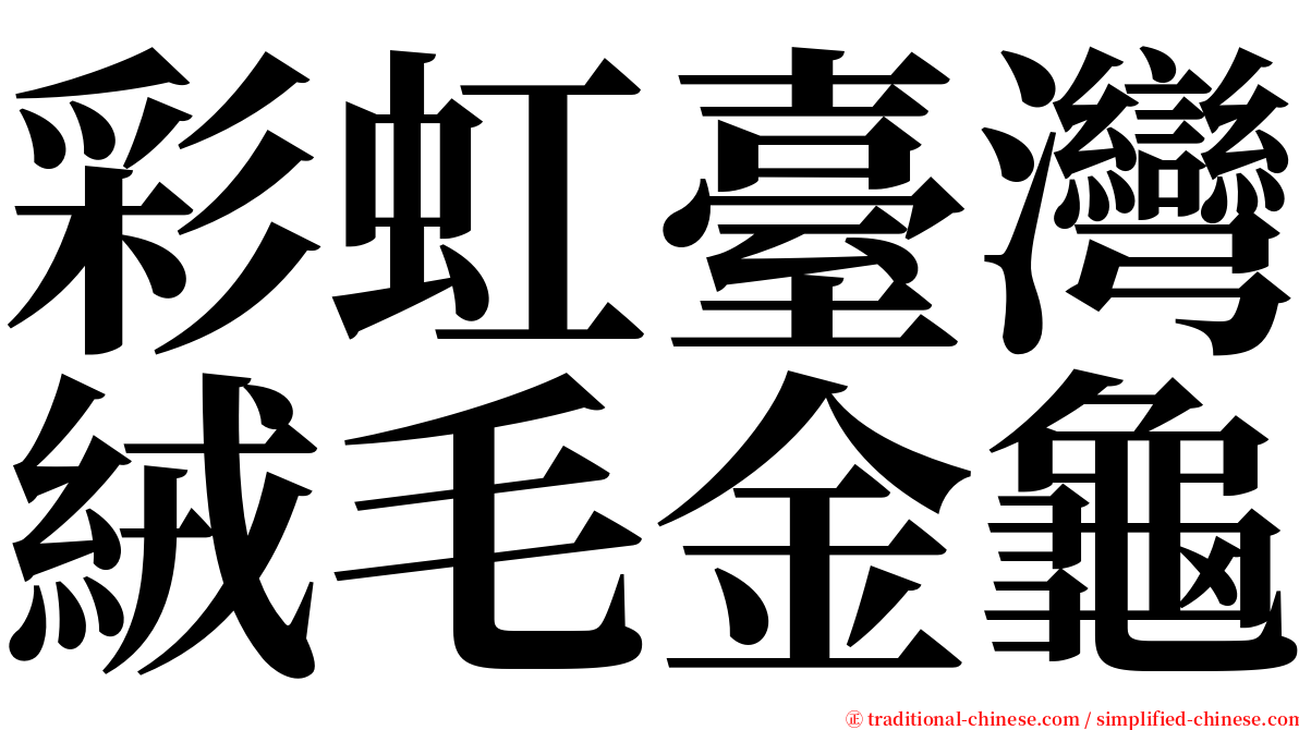 彩虹臺灣絨毛金龜 serif font