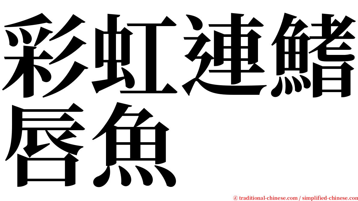 彩虹連鰭唇魚 serif font
