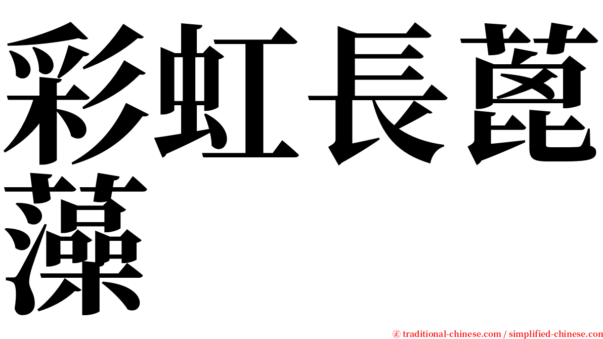 彩虹長蓖藻 serif font