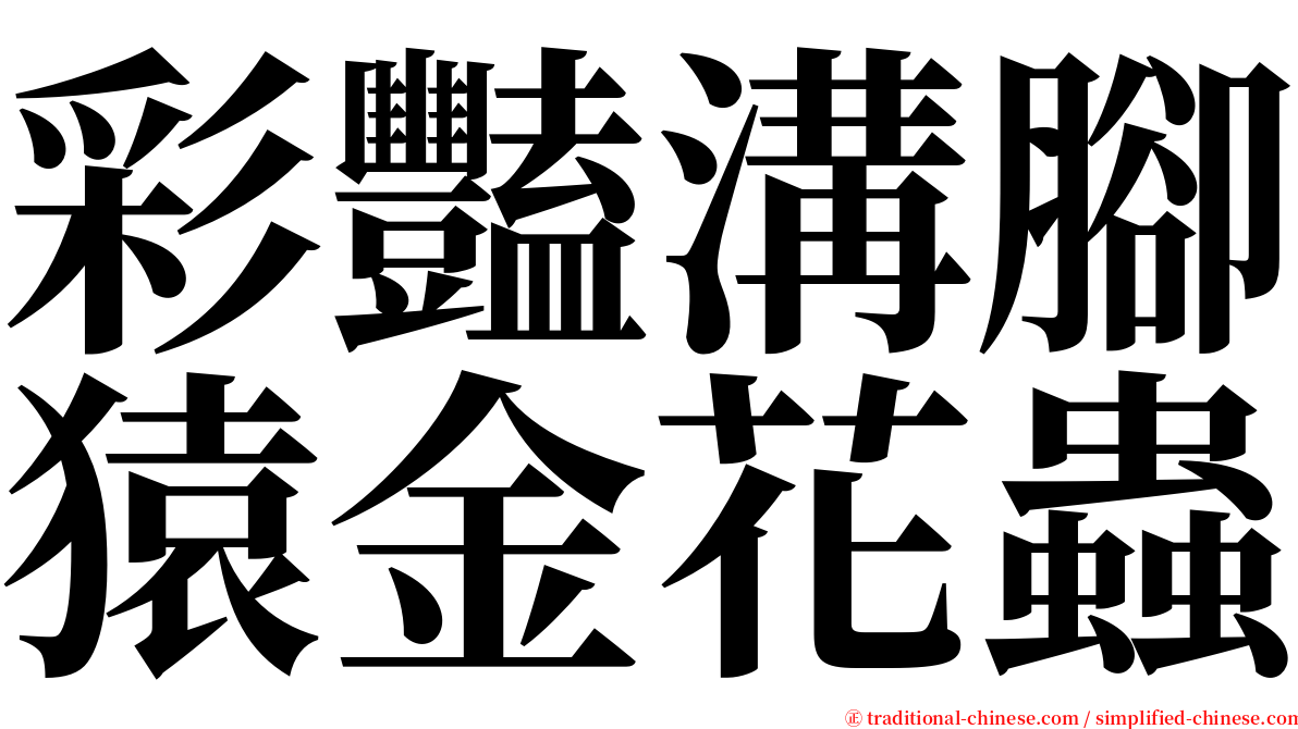 彩豔溝腳猿金花蟲 serif font