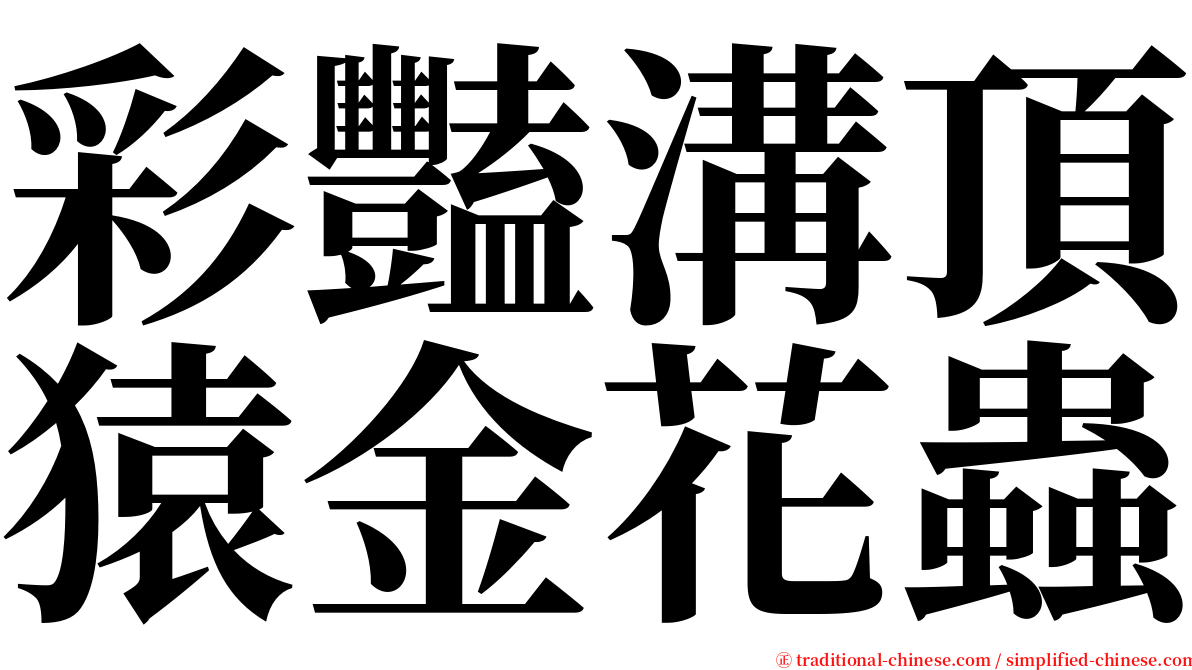 彩豔溝頂猿金花蟲 serif font