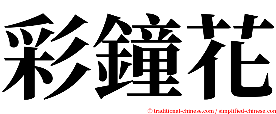 彩鐘花 serif font