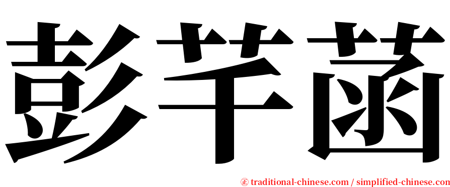 彭芊菡 serif font