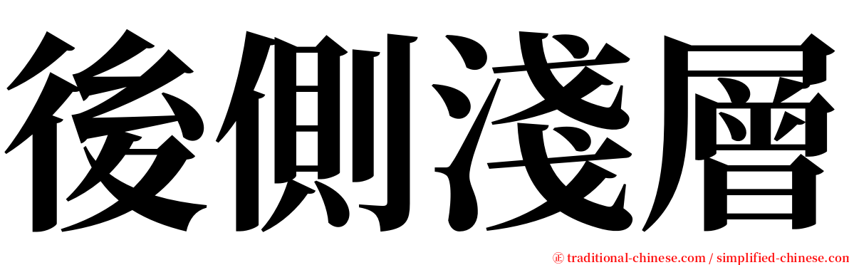 後側淺層 serif font