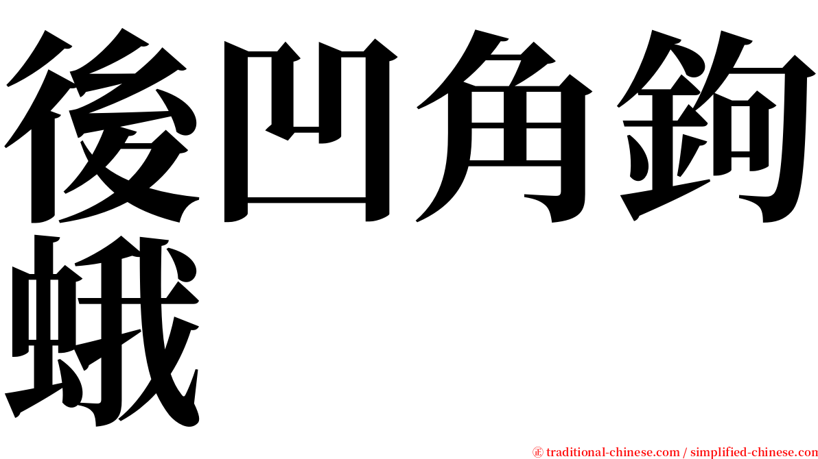 後凹角鉤蛾 serif font