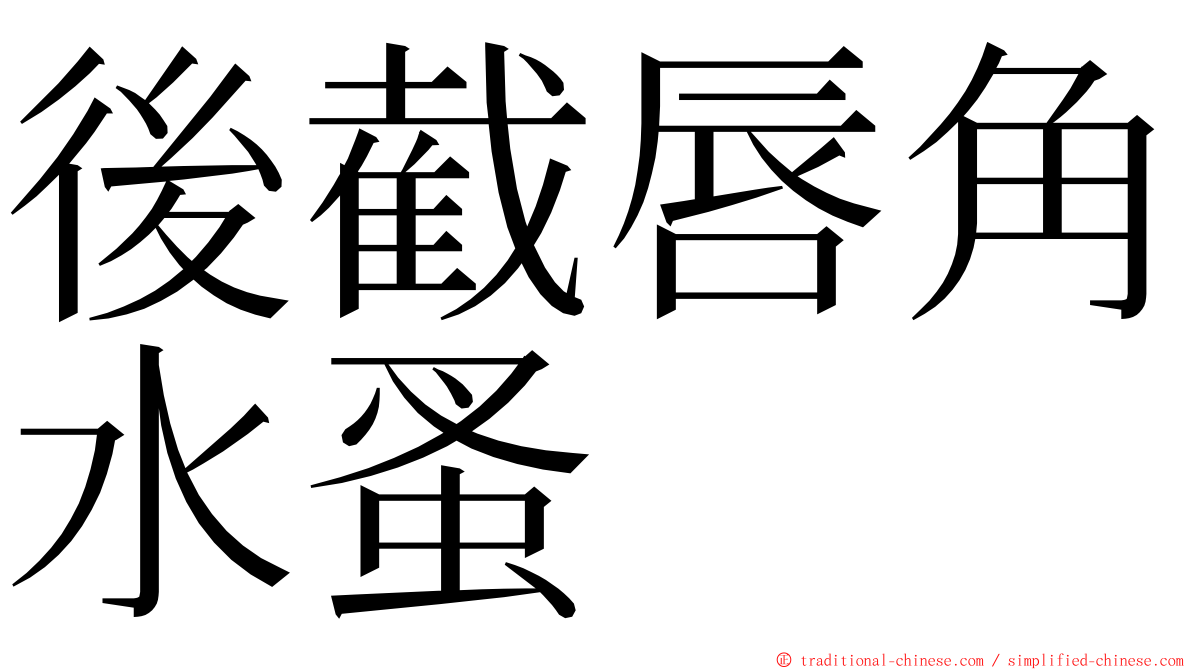 後截唇角水蚤 ming font