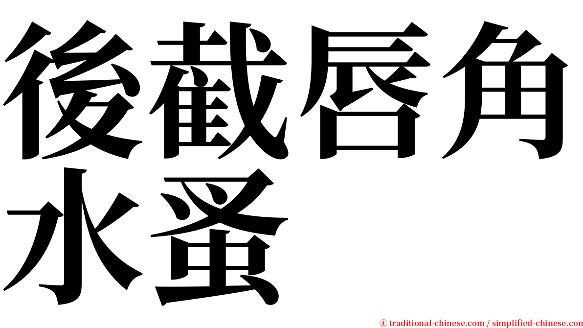 後截唇角水蚤 serif font