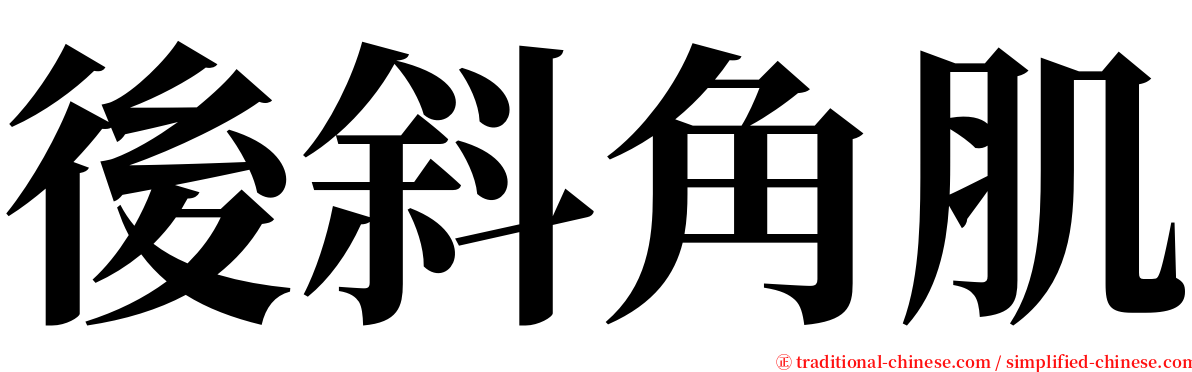 後斜角肌 serif font