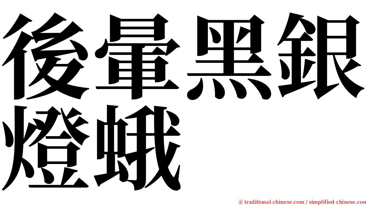 後暈黑銀燈蛾 serif font