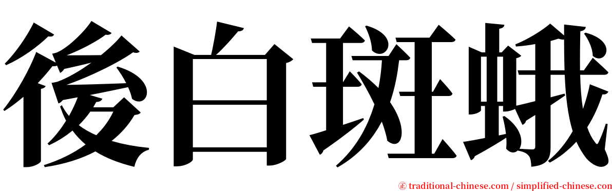 後白斑蛾 serif font