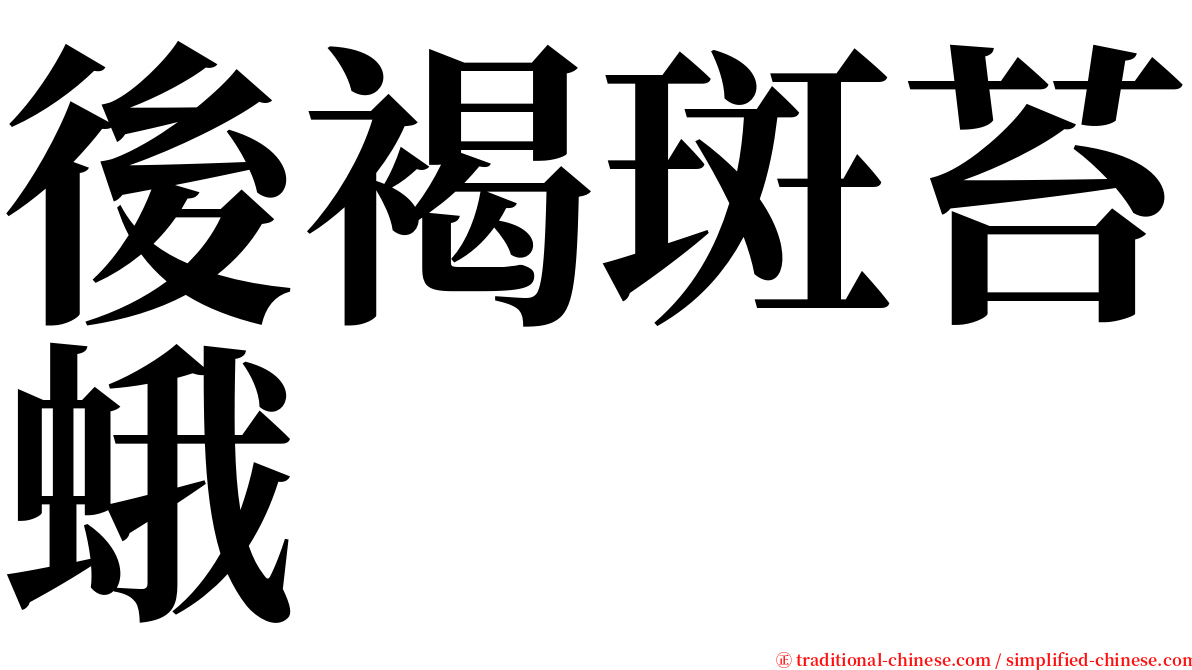 後褐斑苔蛾 serif font