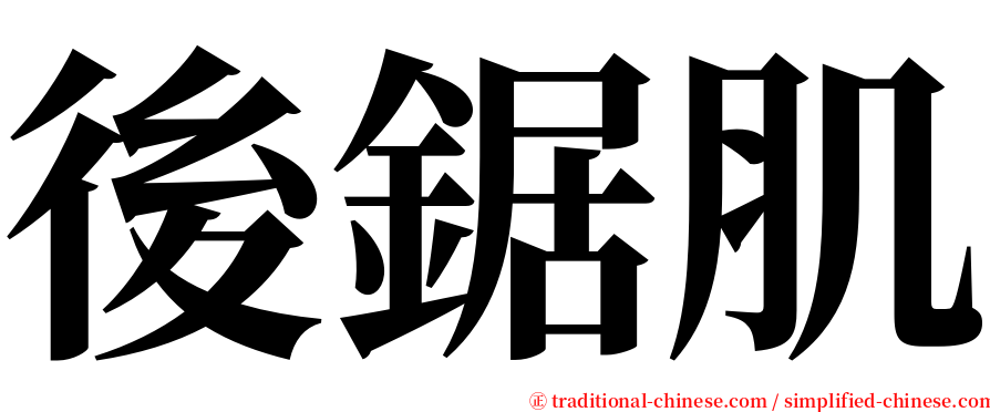 後鋸肌 serif font