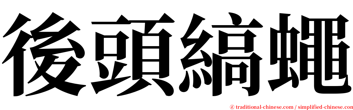 後頭縞蠅 serif font