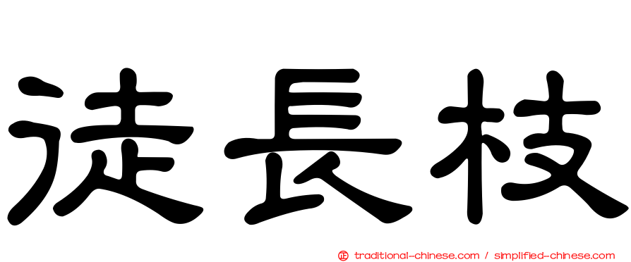 徒長枝