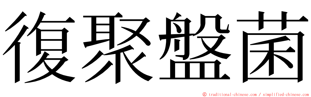 復聚盤菌 ming font