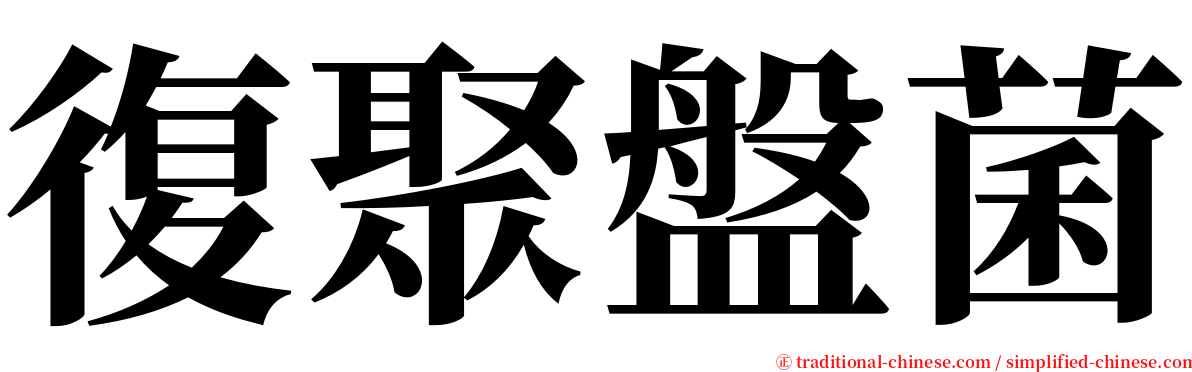 復聚盤菌 serif font