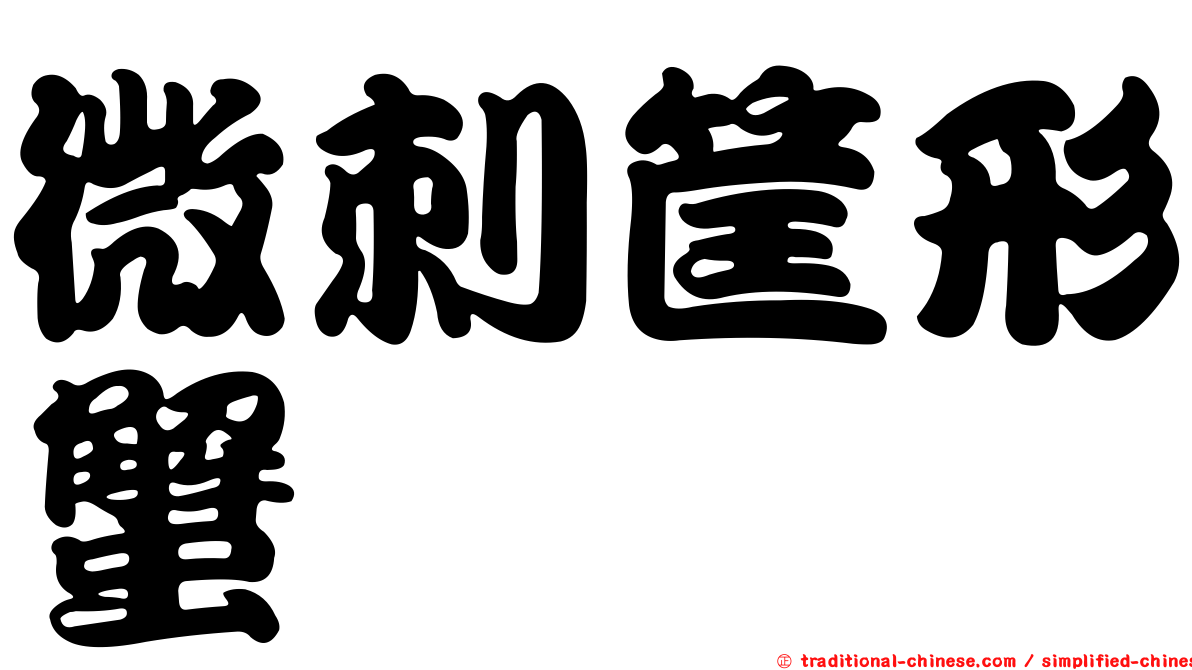 微刺筐形蟹