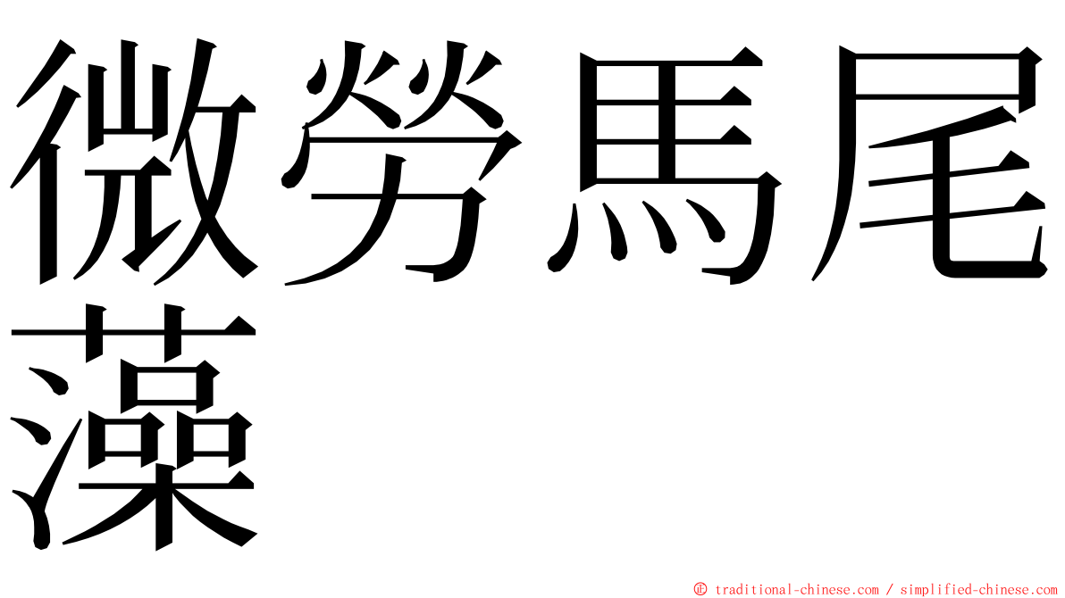 微勞馬尾藻 ming font