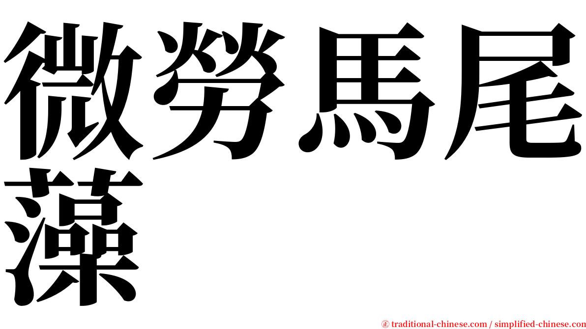 微勞馬尾藻 serif font