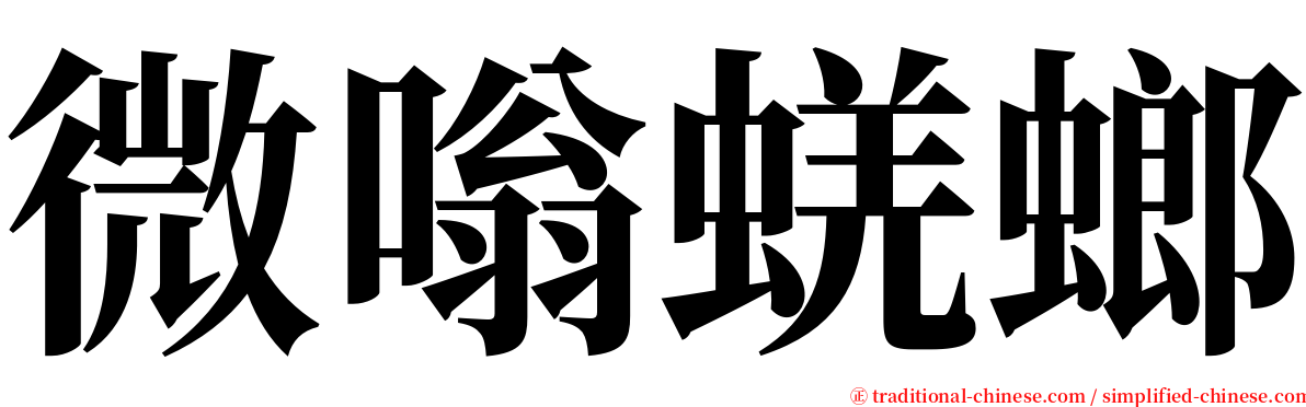 微嗡蜣螂 serif font