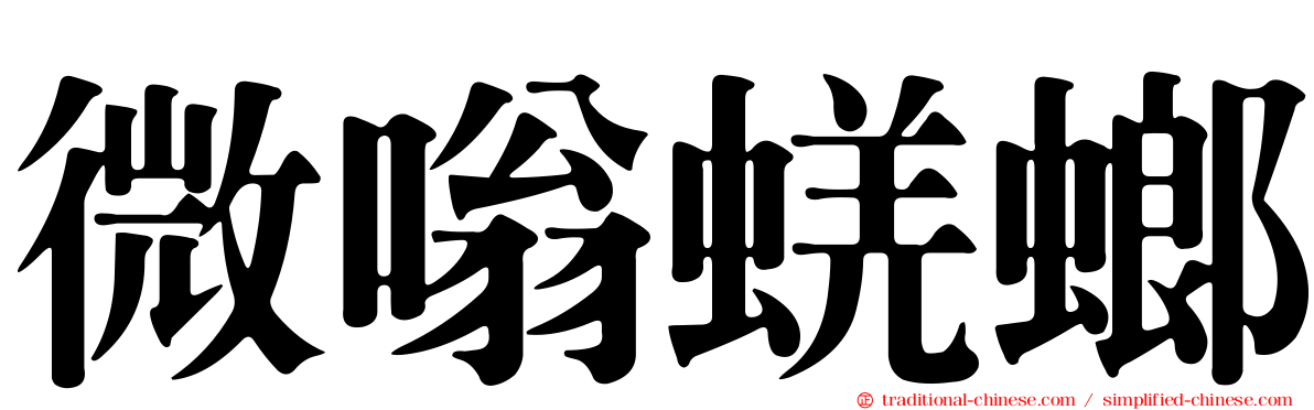 微嗡蜣螂