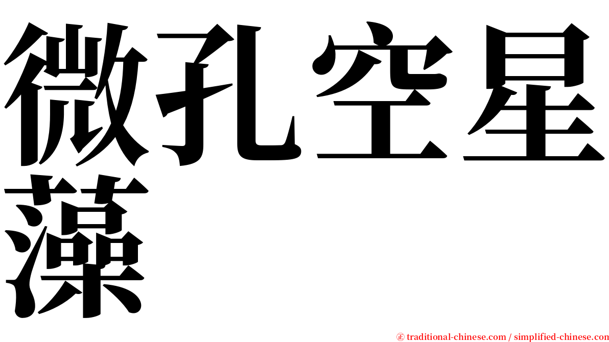 微孔空星藻 serif font