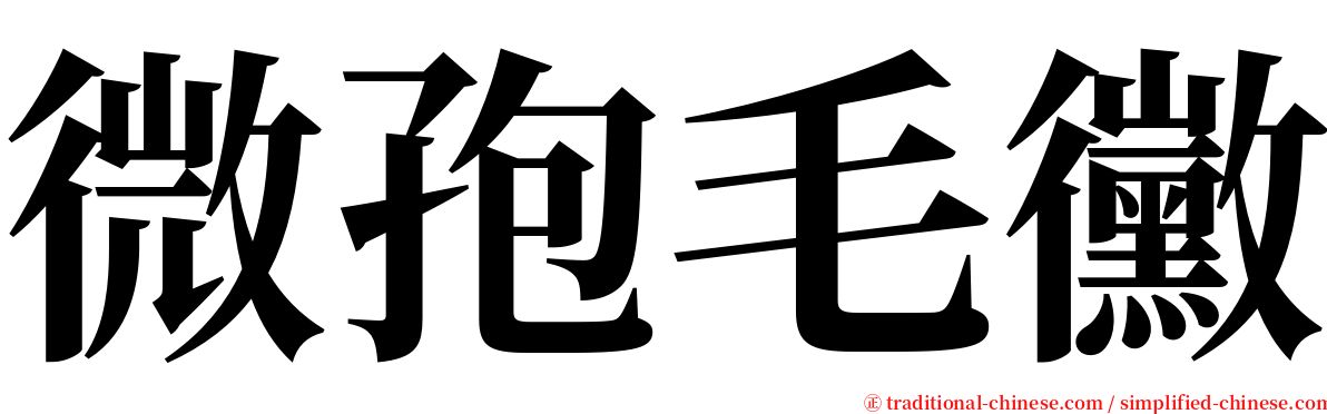 微孢毛黴 serif font