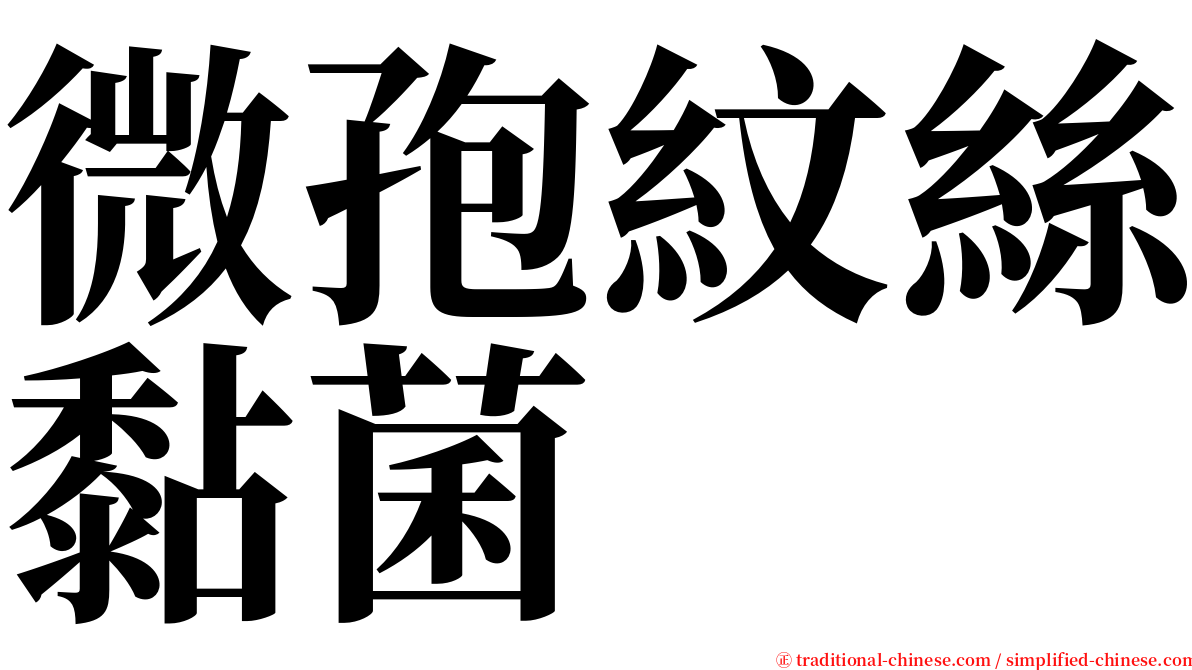 微孢紋絲黏菌 serif font