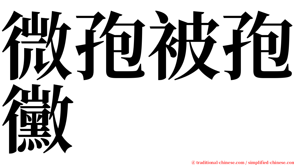 微孢被孢黴 serif font