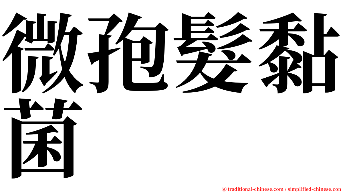 微孢髮黏菌 serif font