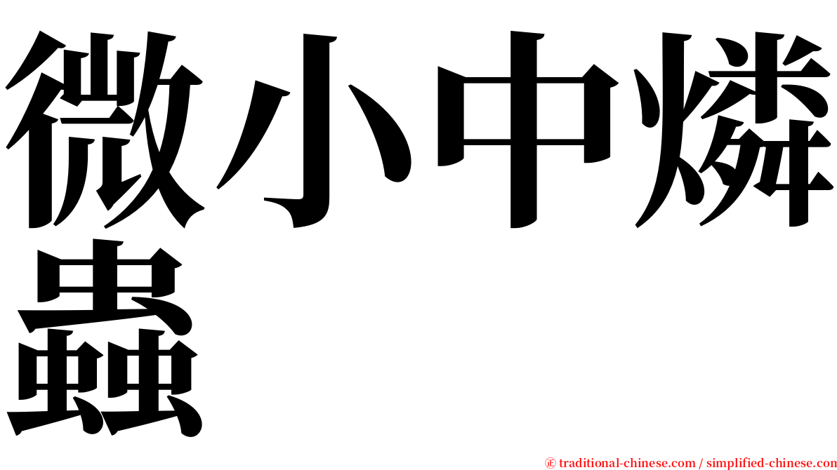 微小中燐蟲 serif font