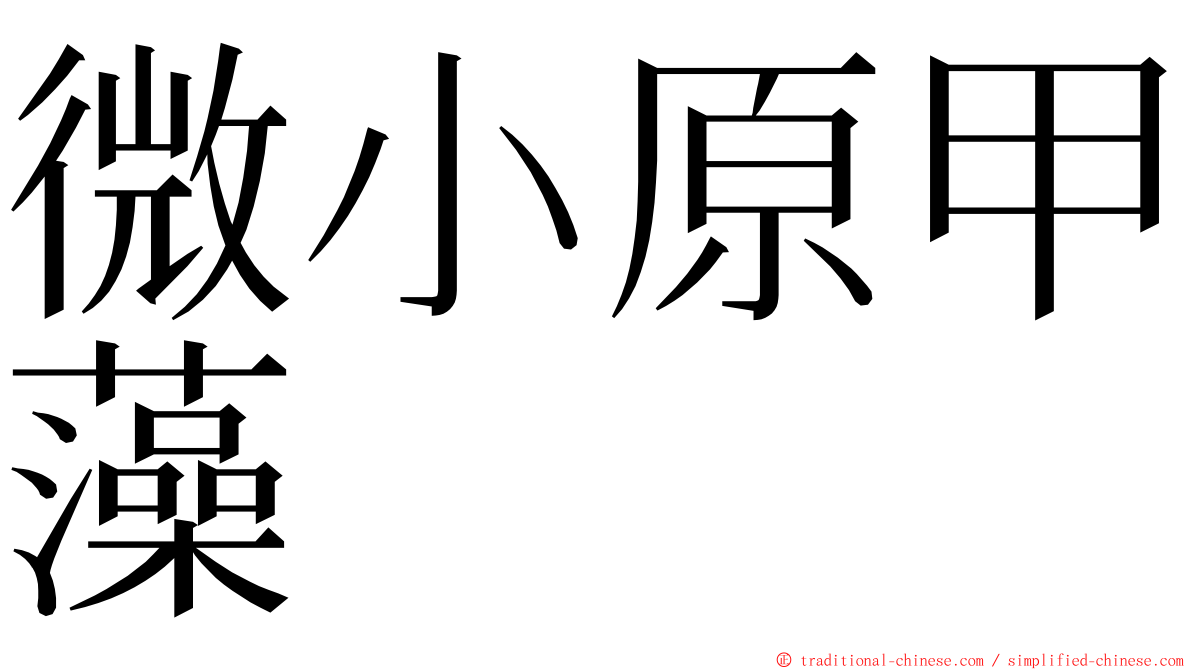 微小原甲藻 ming font