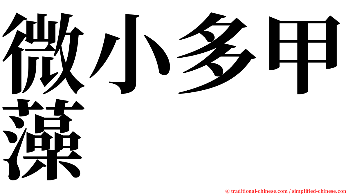 微小多甲藻 serif font