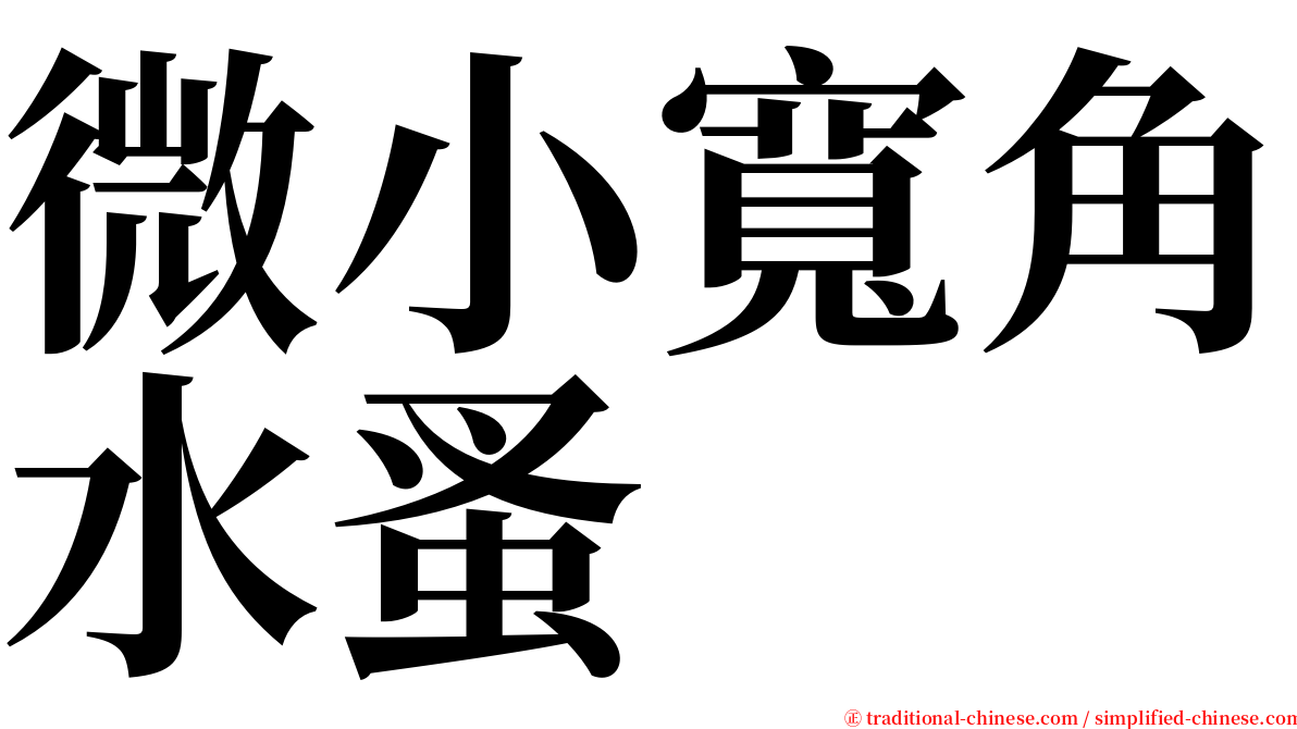 微小寬角水蚤 serif font