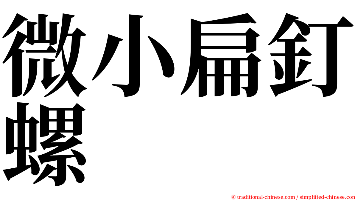 微小扁釘螺 serif font