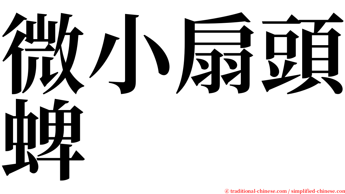 微小扇頭蜱 serif font