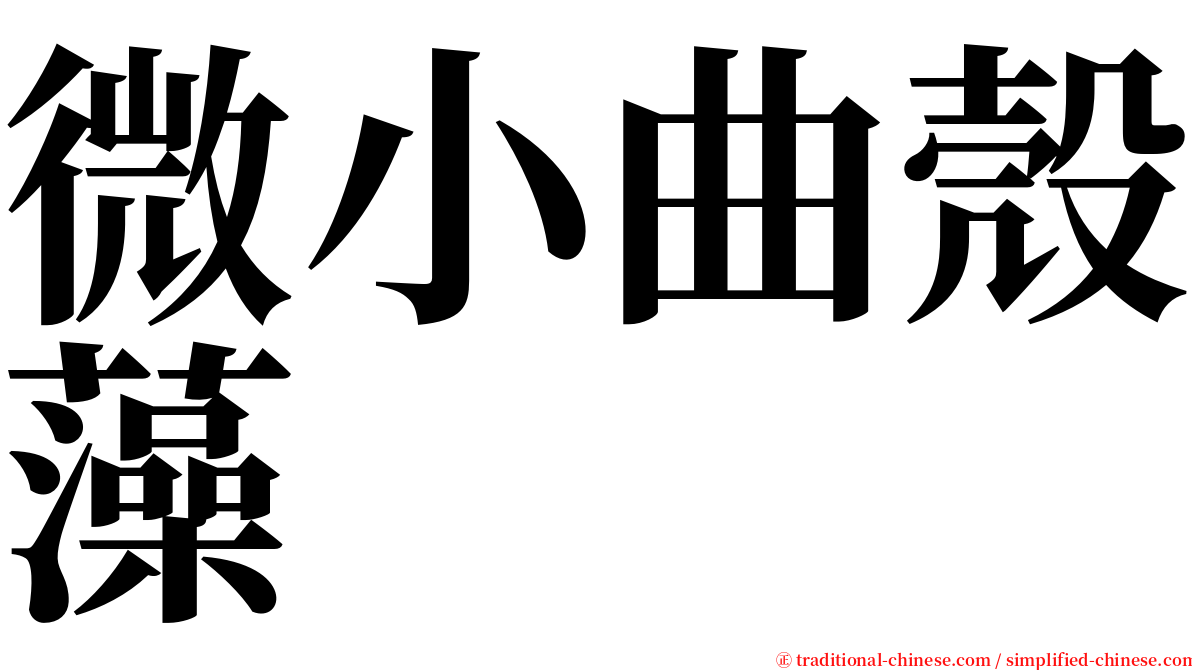 微小曲殼藻 serif font