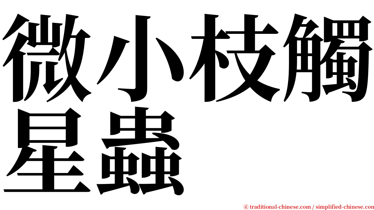 微小枝觸星蟲 serif font