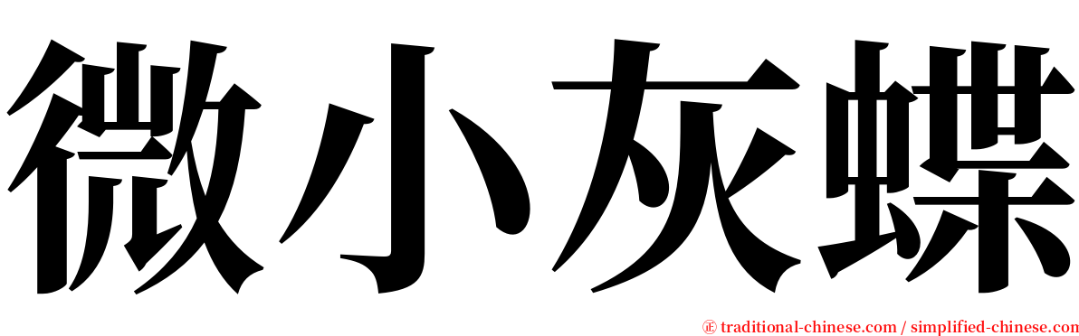 微小灰蝶 serif font