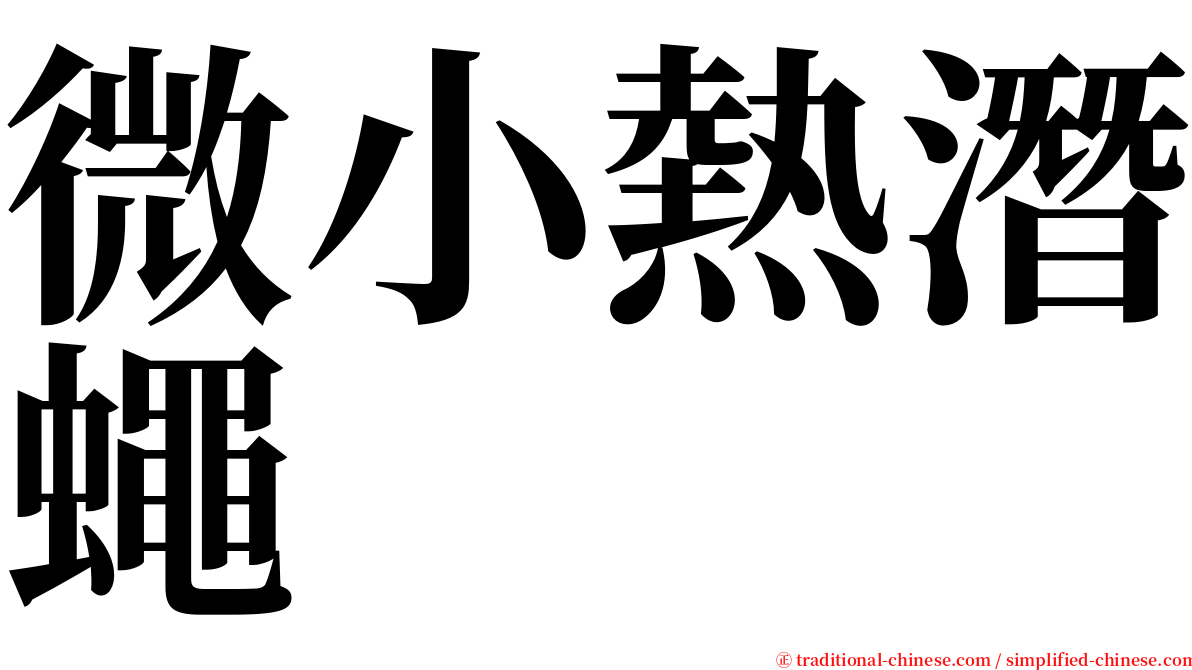 微小熱潛蠅 serif font