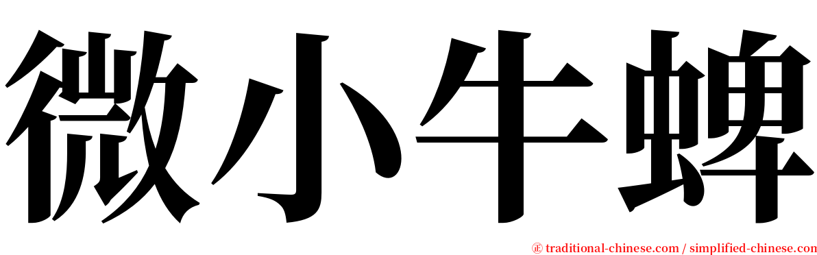 微小牛蜱 serif font