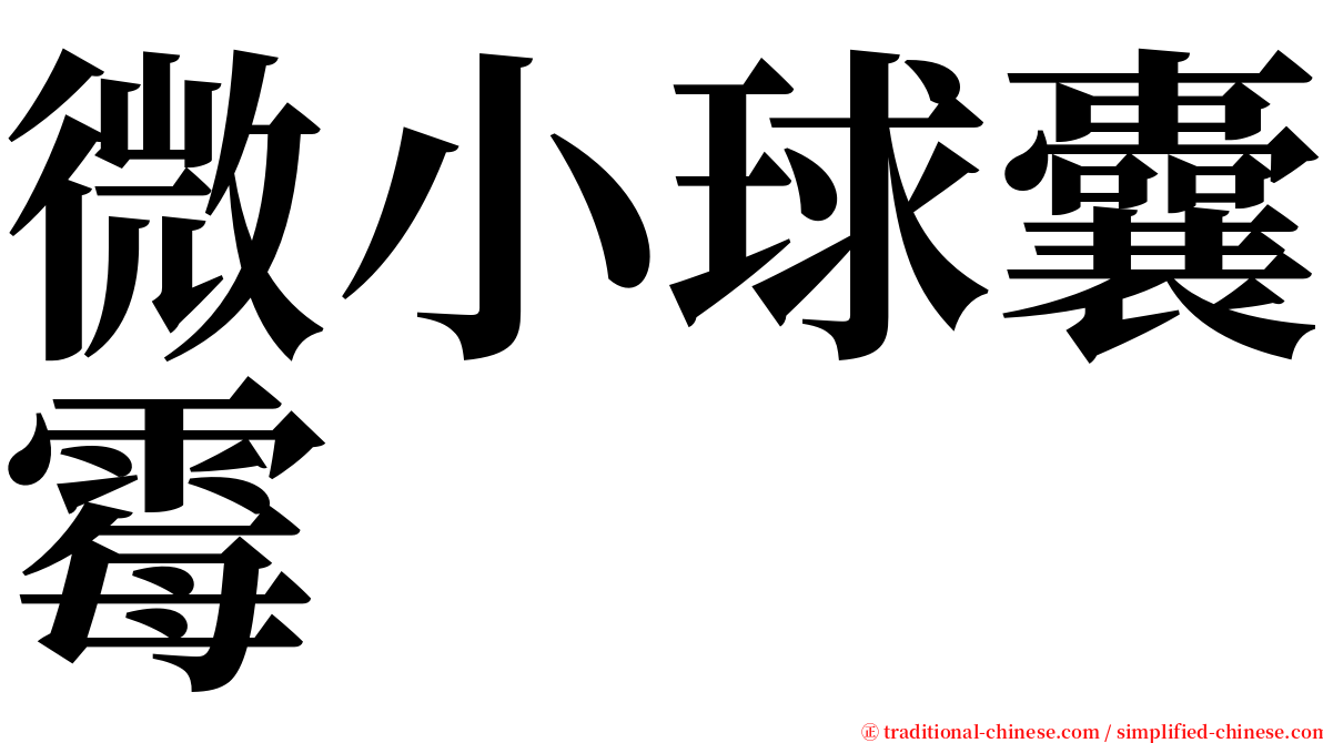 微小球囊霉 serif font