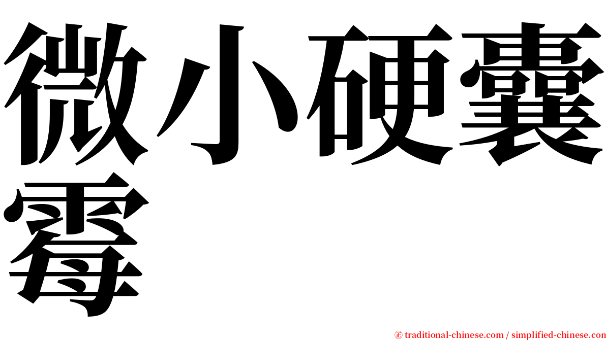 微小硬囊霉 serif font