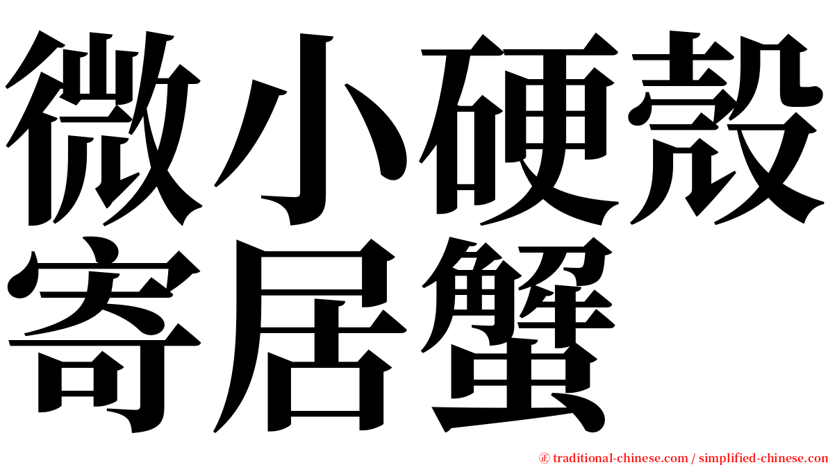 微小硬殼寄居蟹 serif font