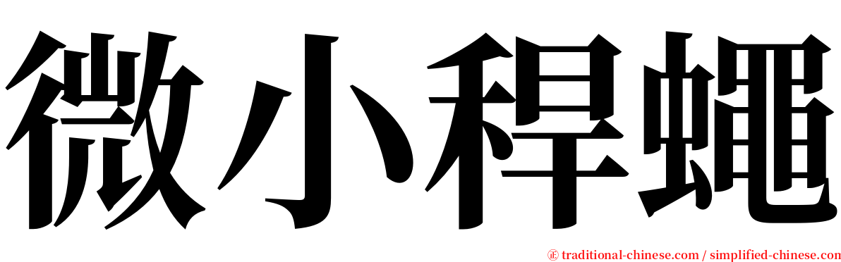 微小稈蠅 serif font