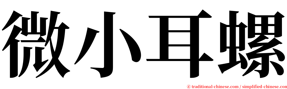 微小耳螺 serif font