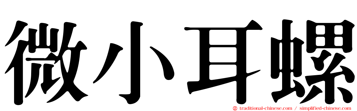 微小耳螺