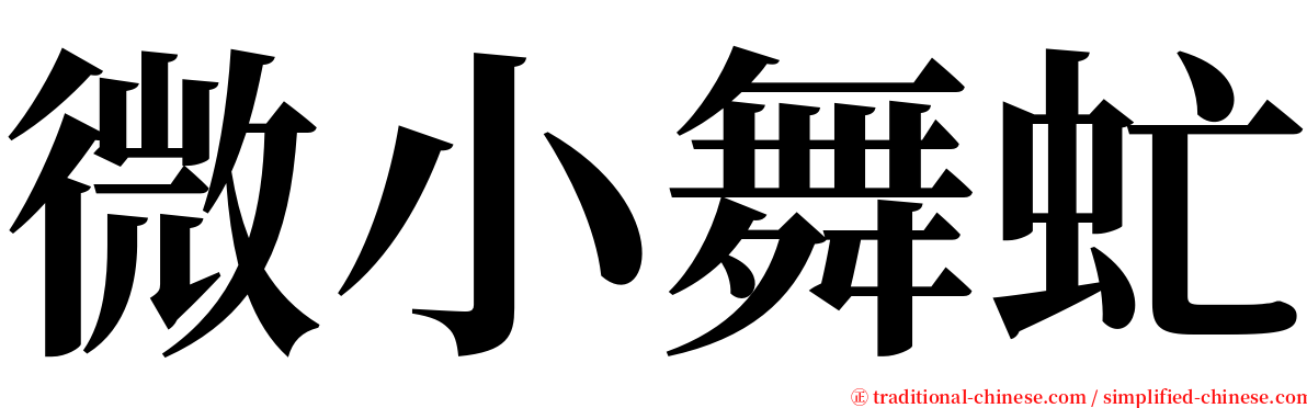 微小舞虻 serif font